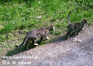 Hopsing und Ina gehen spazieren